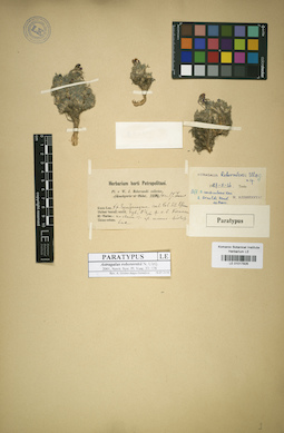 LE 01017826