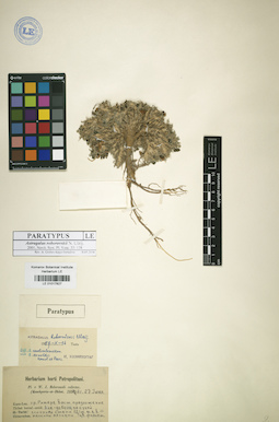 LE 01017827
