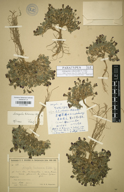 LE 01017828