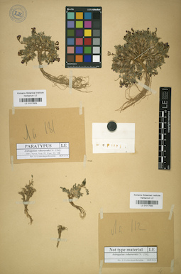 LE 01017830