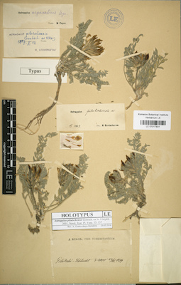 LE 01017831