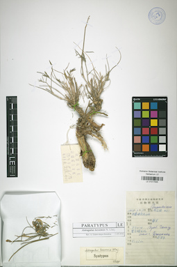 LE 01017835