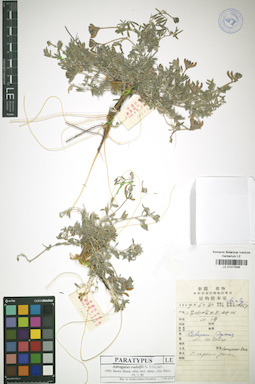 LE 01017836