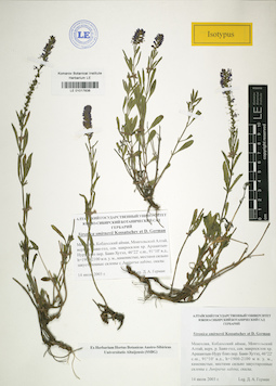 LE 01017838