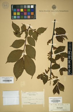LE 01017840