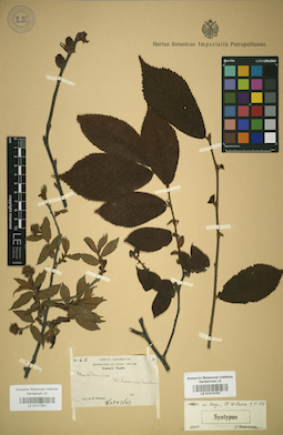LE 01017841