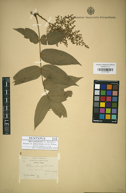 LE 01017857
