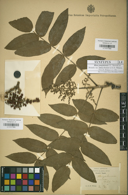 LE 01017859