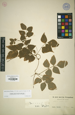LE 01017861