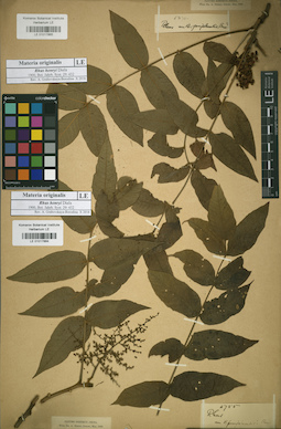 LE 01017865