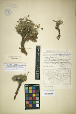 LE 01017867