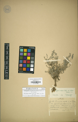 LE 01017869