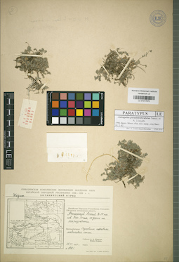 LE 01017870