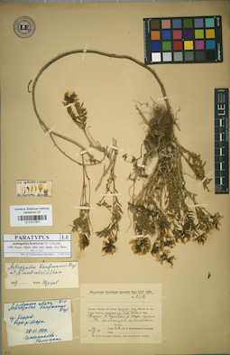 LE 01017871
