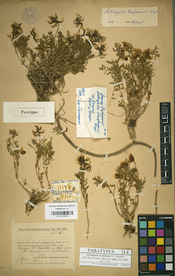 LE 01017872