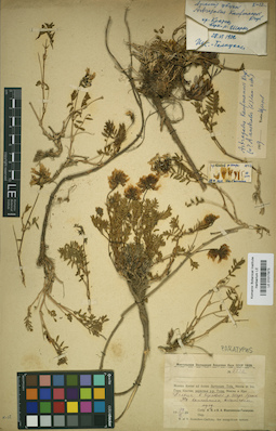 LE 01017873