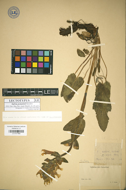LE 01017882