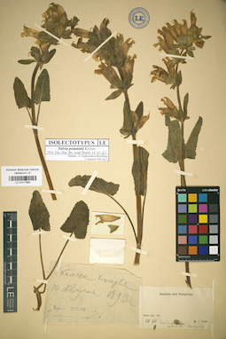 LE 01017883