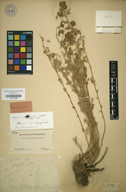 LE 01018060