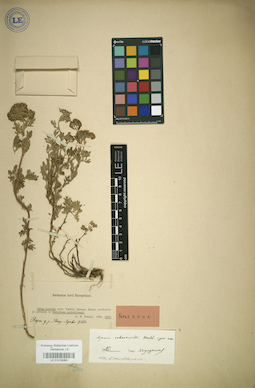 LE 01018063