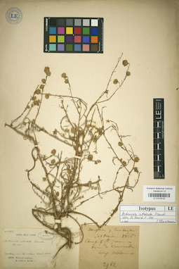 LE 01018122
