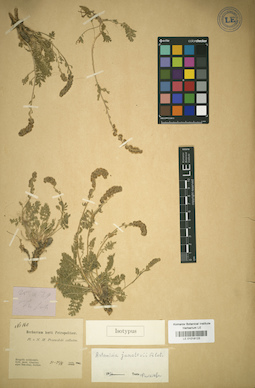 LE 01018123