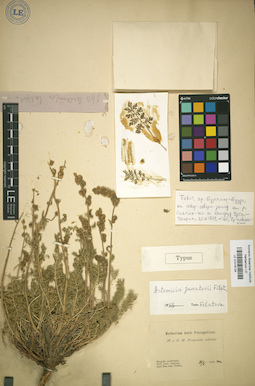 LE 01018124