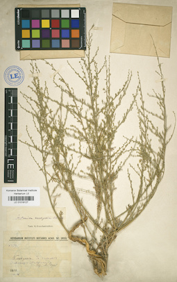 LE 01018127