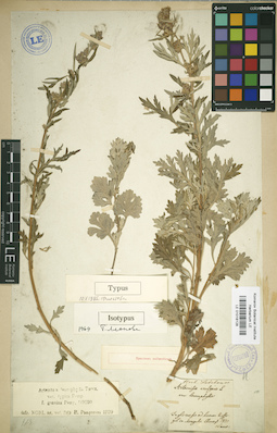 LE 01018128
