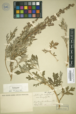 LE 01018129