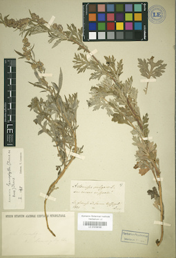 LE 01018130