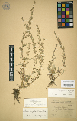 LE 01018141