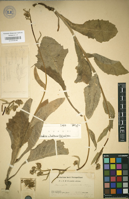LE 01018146