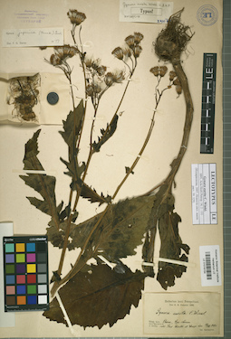 LE 01018154