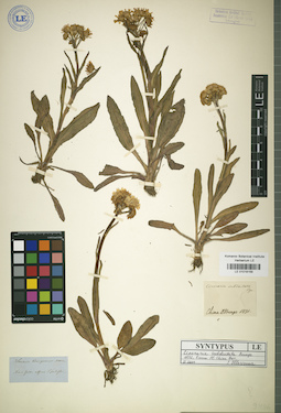 LE 01018159