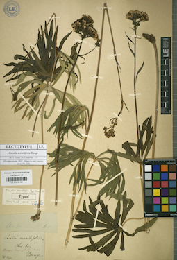 LE 01018160