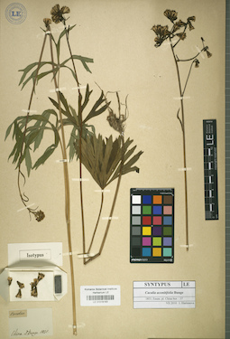 LE 01018163