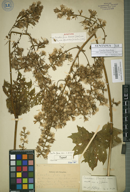 LE 01018165