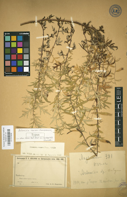 LE 01018209