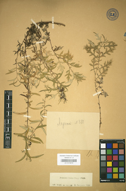 LE 01018210