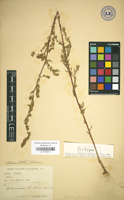LE 01018211