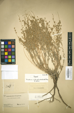 LE 01018213