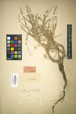 LE 01018214