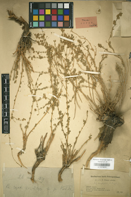 LE 01018216