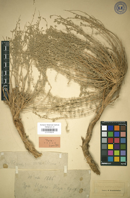LE 01018218