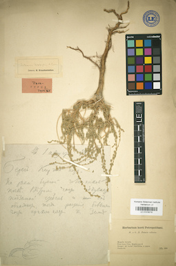 LE 01018219