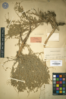 LE 01018220
