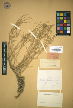 LE 01018222