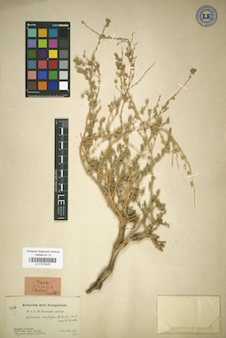 LE 01018223