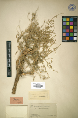 LE 01018224